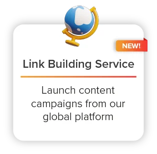 Professional Link Building Service